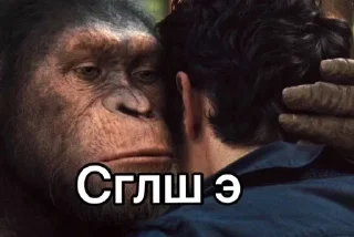 Халвуша sticker 3
