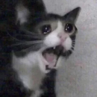 😢 emoji Халвуша Telegram sticker 21 of 120