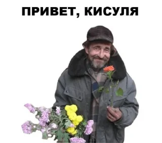 Sticker from Стикеры Яси