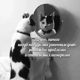 Sticker from На случай важных переговоров🤡