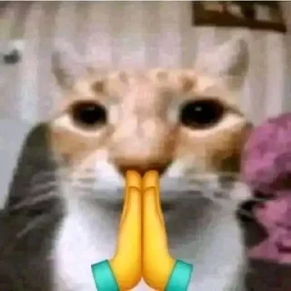 Sticker from cattos