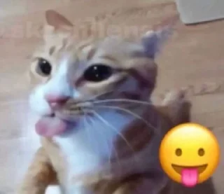 Sticker from cattos