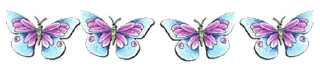 🎀 emoji @gifsandimages  🦋Butterfly🦋 — @stckrRobot Telegram sticker 13 of 120