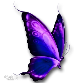 🐝 emoji @gifsandimages  🦋Butterfly🦋 — @stckrRobot Telegram sticker 5 of 120