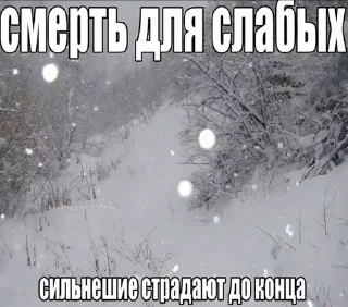 Sticker from белиберда