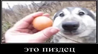 Sticker from В голове у господина