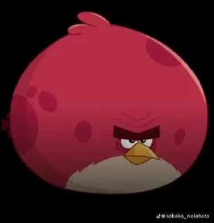 😅 emoji Данил пендос by:@IhateNword Telegram sticker 17 of 48