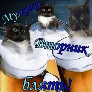 Sticker from На всякий случай жизни