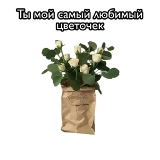 Sticker from нежности,мур-мур