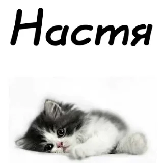 👸 emoji MEONIMAW Telegram sticker 23 of 116