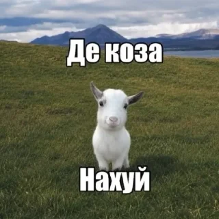 🐐 emoji MEONIMAW Telegram sticker 9 of 116