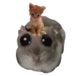 🐱 emoji хома @TgEmodziBot Telegram sticker 17 of 29