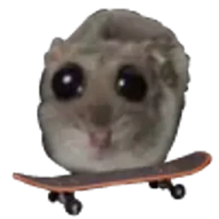 🛹 emoji хома @TgEmodziBot Telegram sticker 7 of 29