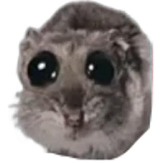 🤩 emoji хома @TgEmodziBot Telegram sticker 16 of 29