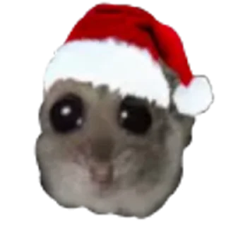🎁 emoji хома @TgEmodziBot Telegram sticker 6 of 29