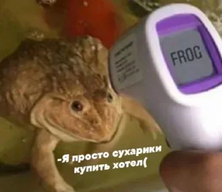 🐸 emoji VPN 👉 @gptVPNrbot Telegram sticker 9 of 87