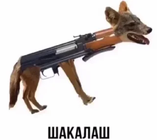 🐶 emoji VPN 👉 @gptVPNrbot Telegram sticker 3 of 87
