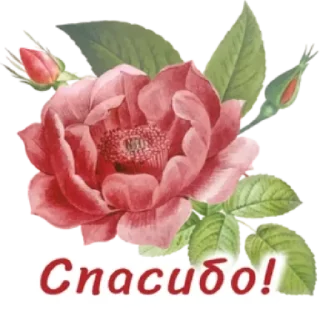 Sticker from Создать стикеры 👉🏻 @EmojiRuBot