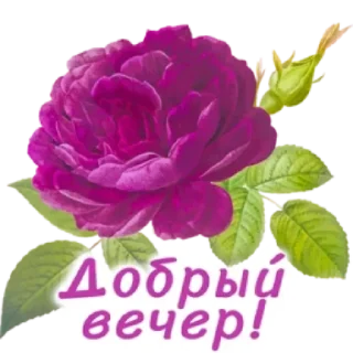 Sticker from Создать стикеры 👉🏻 @EmojiRuBot