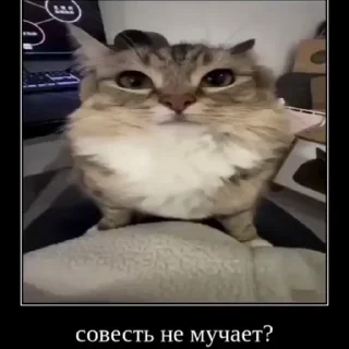 🤔 emoji амнезюша🙇🏼‍♀️❤️ Telegram sticker 17 of 98