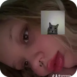 🫥 emoji амнезюша🙇🏼‍♀️❤️ Telegram sticker 13 of 98