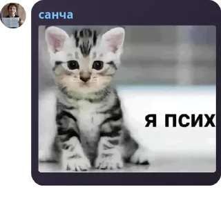 💁‍♂️ emoji рабы юнтара pack by @QuotLyBot Telegram sticker 6 of 19