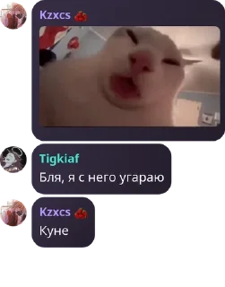 🧑‍🤝‍🧑 emoji совет админов (рабы) 2.0 pack by @QuotLyBot Telegram sticker 23 of 88