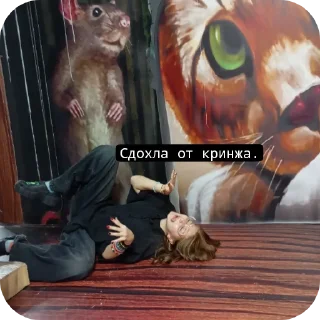 🐱 emoji Спортивна країна бб Telegram sticker 10 of 120