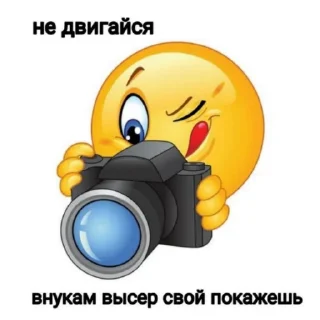 📷 emoji басаношки Telegram sticker 19 of 109