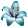 🌟 emoji my vibes Telegram sticker 13 of 36
