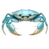🌟 emoji my vibes Telegram sticker 19 of 36