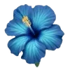 🌟 emoji my vibes Telegram sticker 12 of 36