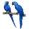 🌟 emoji my vibes Telegram sticker 8 of 36