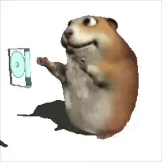 🌟 emoji Zoophagous Bandicoot Telegram sticker 10 of 15