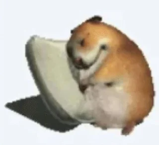 🌟 emoji Zoophagous Bandicoot Telegram sticker 3 of 15