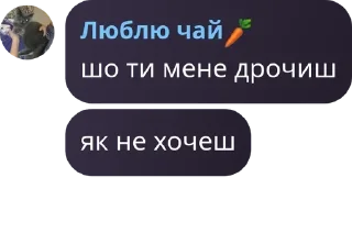 👩‍🦯 emoji піздусіна родина Наталя поверн pack by @QuotLyBot Telegram sticker 18 of 89