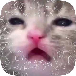 Sticker from 🐈‍⬛️𝙺𝚘𝚝𝚢𝚊𝚝𝚊 @satzwru