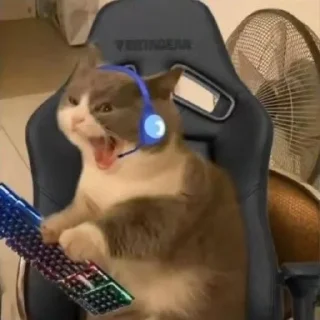 Sticker from meme animal