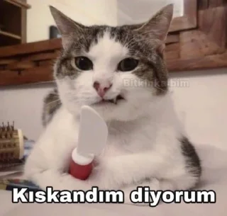 🤔 emoji @ThisisBatya @DTOUserBot Paketi 1 Telegram sticker 19 of 120