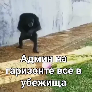 🏠 emoji МногоСтикеров by @Sanechek_pk Telegram sticker 18 of 120