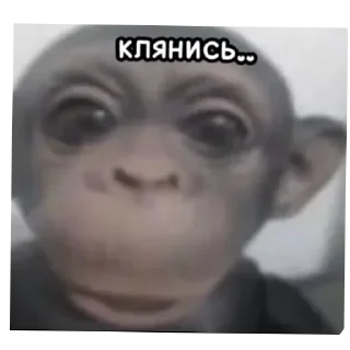 🤲 emoji МногоСтикеров by @Sanechek_pk Telegram sticker 7 of 120