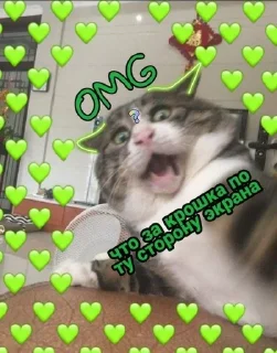 Sticker from завали свой милый ебальничек