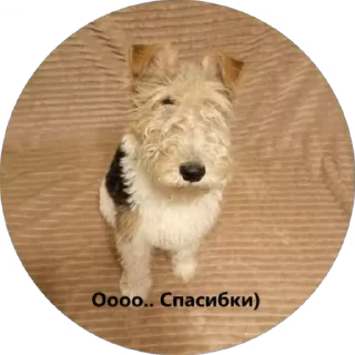 Sticker from Вкусняшка) @BR0DYACH1Y_ART1ST