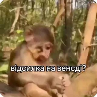 Sticker from Бібізянки
