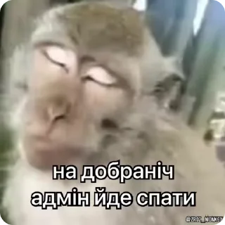 Sticker from Бібізянки