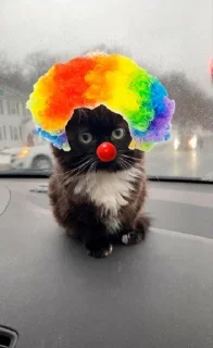 🤡 emoji Чмоня Telegram sticker 12 of 29