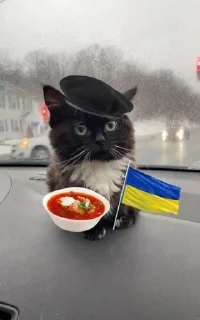 🇺🇦 emoji Чмоня Telegram sticker 11 of 29