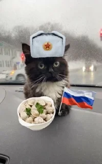 🇷🇺 emoji Чмоня Telegram sticker 10 of 29