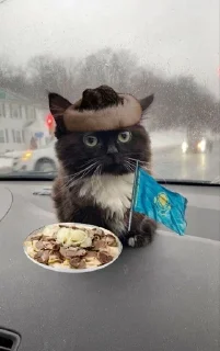 🇰🇿 emoji Чмоня Telegram sticker 9 of 29