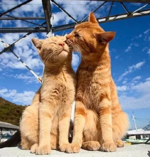 💕 emoji Обнимашки-целовашки :з Telegram sticker 9 of 120